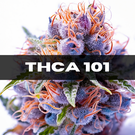THCA: The Unsung Hero of the Cannabis World and Why It’s Making Waves!