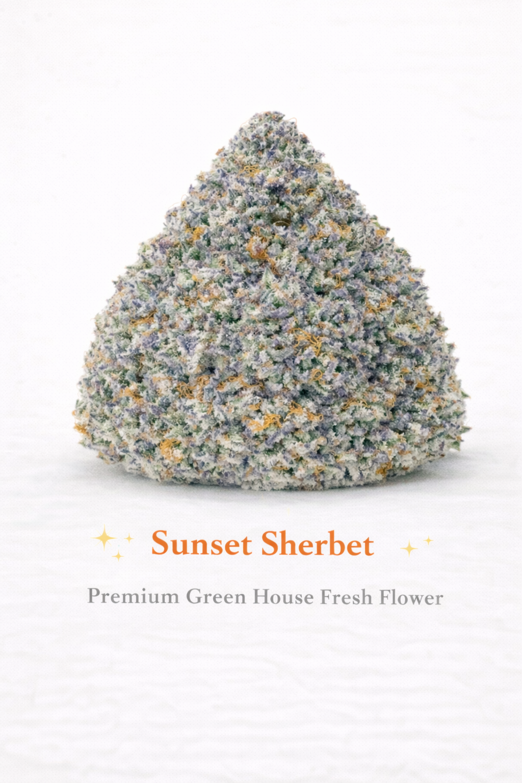 Sunset Sherbet - Premium Green House Flower