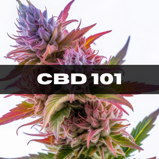 All About CBD: The Cannabis Rockstar Everyone's Buzzing About (And Why It's Got Nothing to Do with Getting High)