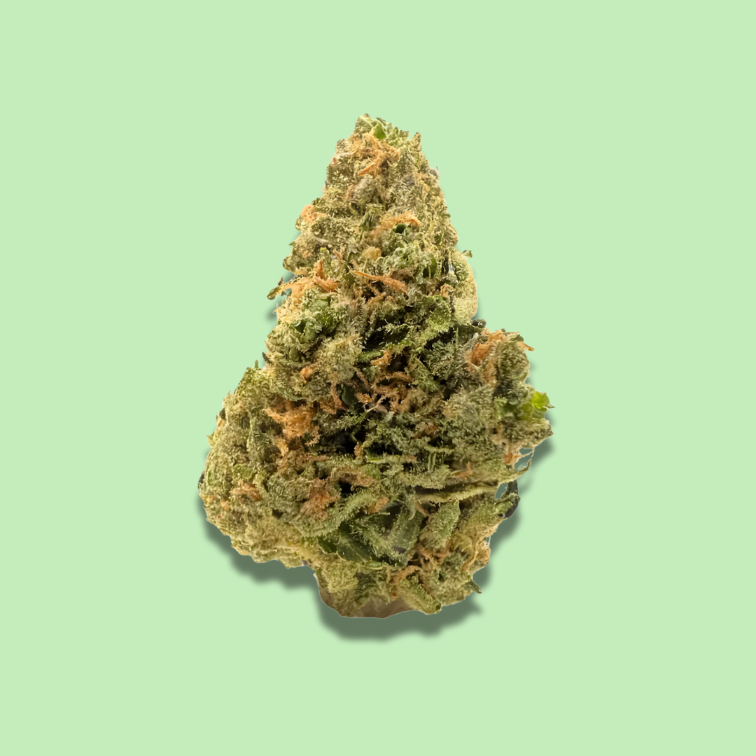 Blue Dream - Premium Green House Fresh Flower