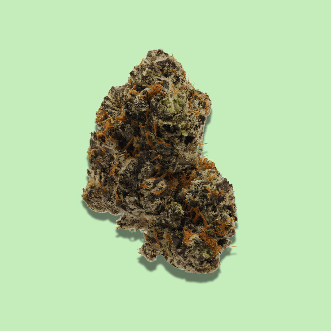 Lemon Cherry Swirl (Hybrid) - Exotic Fresh Flower