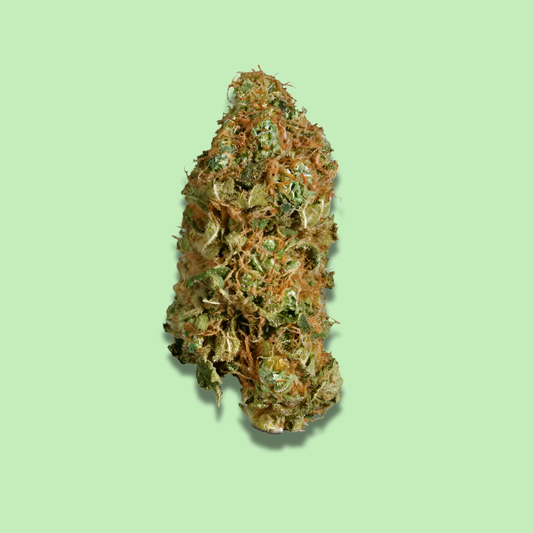 Super Jack - Exotic Fresh Flower