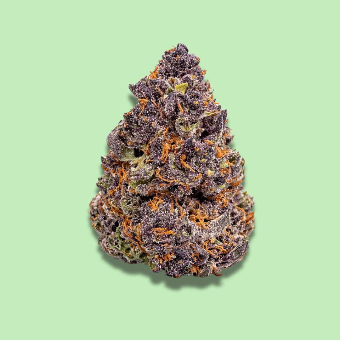 Tropical Cherry - Top Shelf Fresh Flower